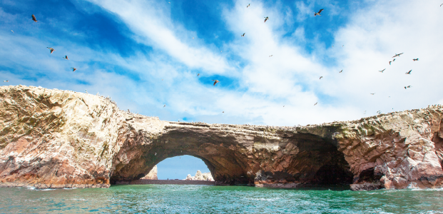 islas paracas en peru